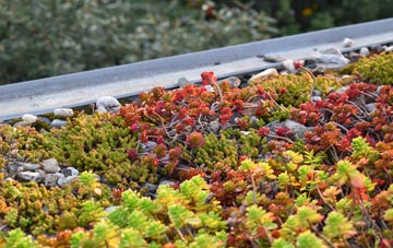 the cost of Bomby green roof installation