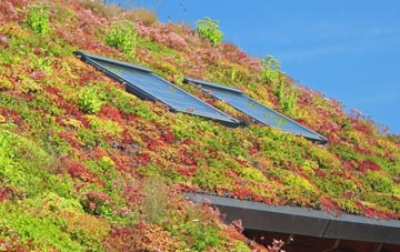Bomby living roof systems